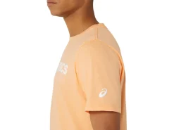 ASICS STRIPES SUNRISE TEE-Men Extended Sizes|T-Shirts & Tops