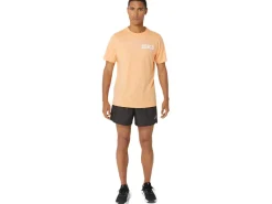 ASICS STRIPES SUNRISE TEE-Men Extended Sizes|T-Shirts & Tops