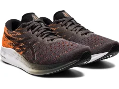 ASICS EvoRide 3-Men Running Shoes