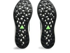ASICS Fuji Lite 4-Men Running Shoes