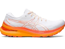 ASICS GEL-KAYANO 29-Men Overpronation|Shoes Under $100