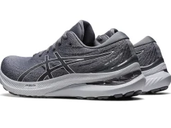 ASICS GEL-KAYANO 29 WIDE ROAD TESTED-Men Road Tested Footwear