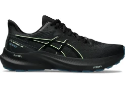 ASICS GT-2000 12 GTX-Men Overpronation|Running Shoes