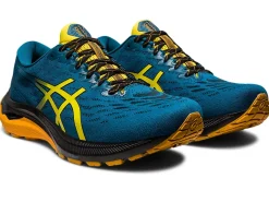 ASICS GT-2000 11 TR-Men Trail Running|Overpronation
