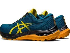 ASICS GT-2000 11 TR-Men Trail Running|Overpronation