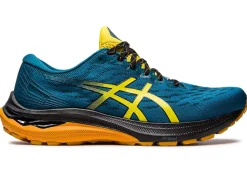 ASICS GT-2000 11 TR WIDE NATURE BATHING-Men Trail Running|Overpronation
